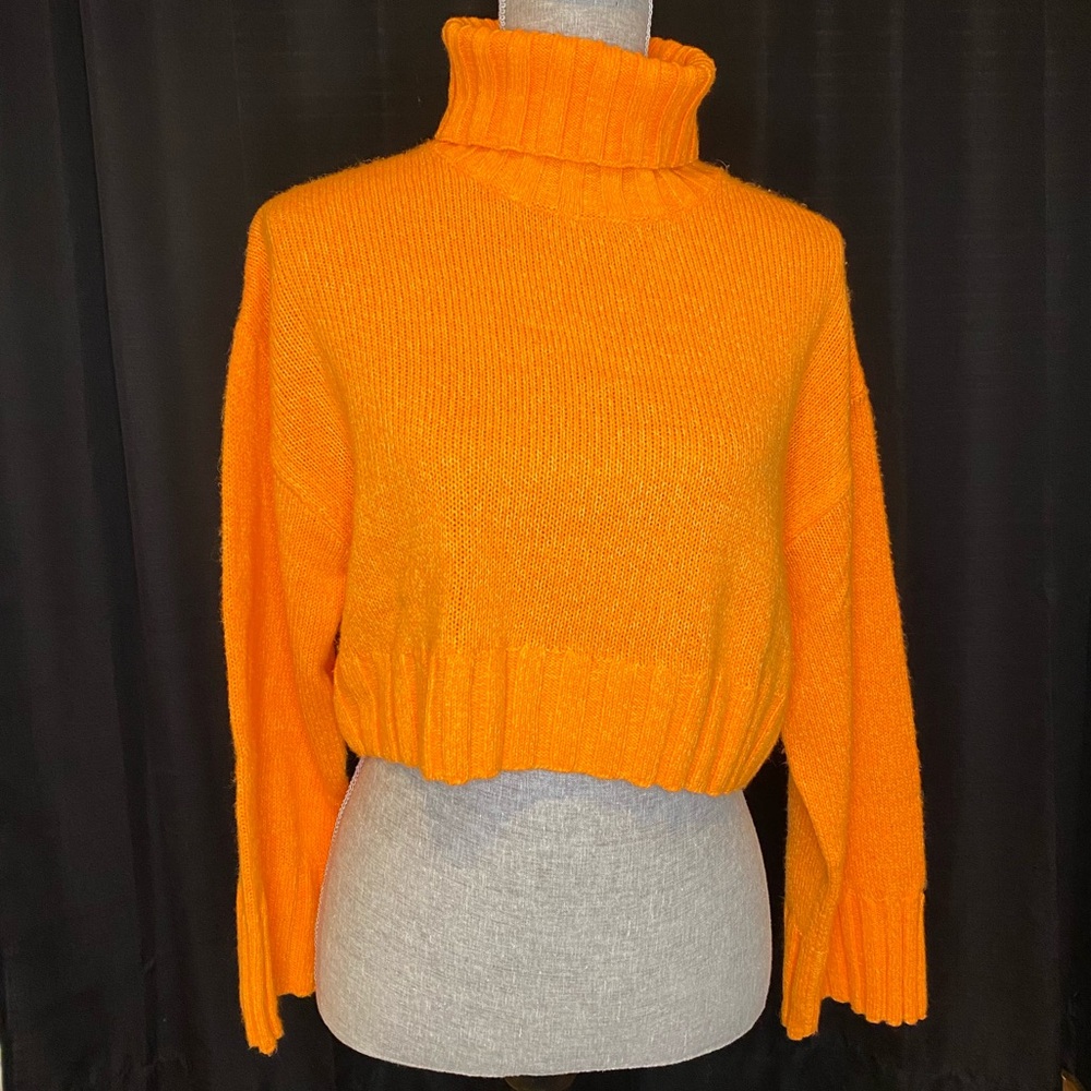H&M Knit Crop Turtleneck Sweater